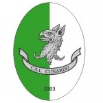 CSI CUNARDO JUNIOR